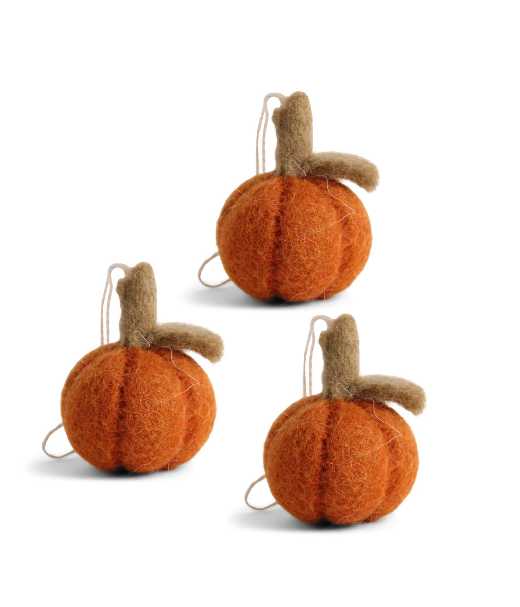 Mini Pumpkins - set of 3 RRP:$33